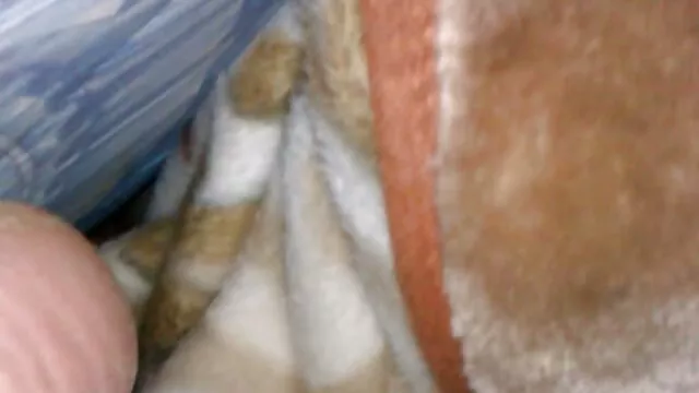 Lesbianas babe lamió y digitación pormos xxx en carsex