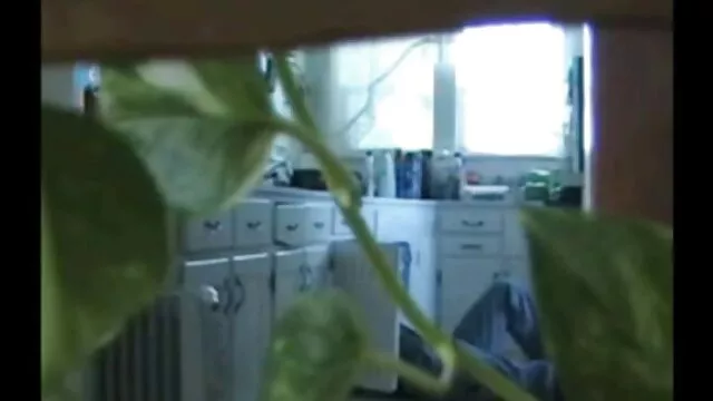 ¡Una peliculas nxx vista de webcam enorme!